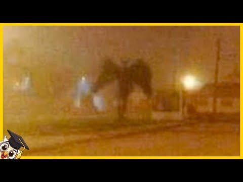 20 Mysterious Things That No One Can Explain