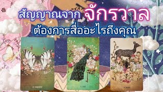 Pick a card ep515✨️🔮🦄🌻สัญญาณจากจักรวาลต้องการสื่ออะไรถึงคุณ🦄🌻💫🔮