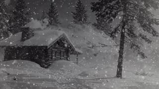 Freezing Snowstorm Sounds for Sleeping | Howling Wind & Loud Blizzard Snow at Winter Night