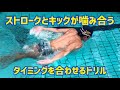 【バタフライ】ストロークとキックのタイミングを合わせるドリル