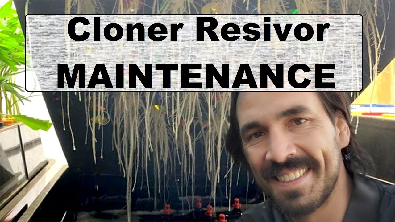 Aquaponics Cloner Resivor Maintenance