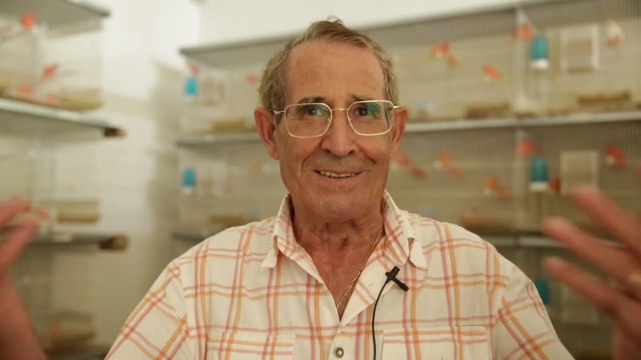 FIN DE LA CRIA 2025 y COMIENZO DE LA MUDA.