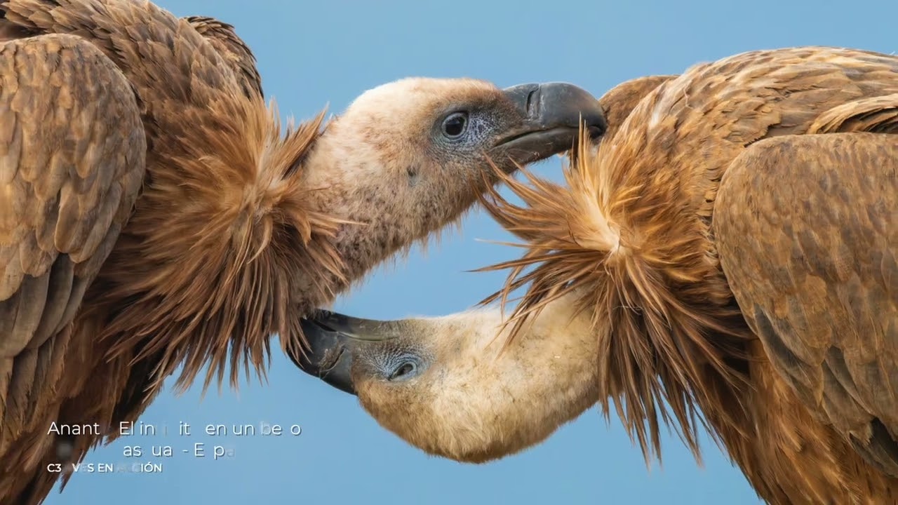 Concurso fotográfico FIO 2026