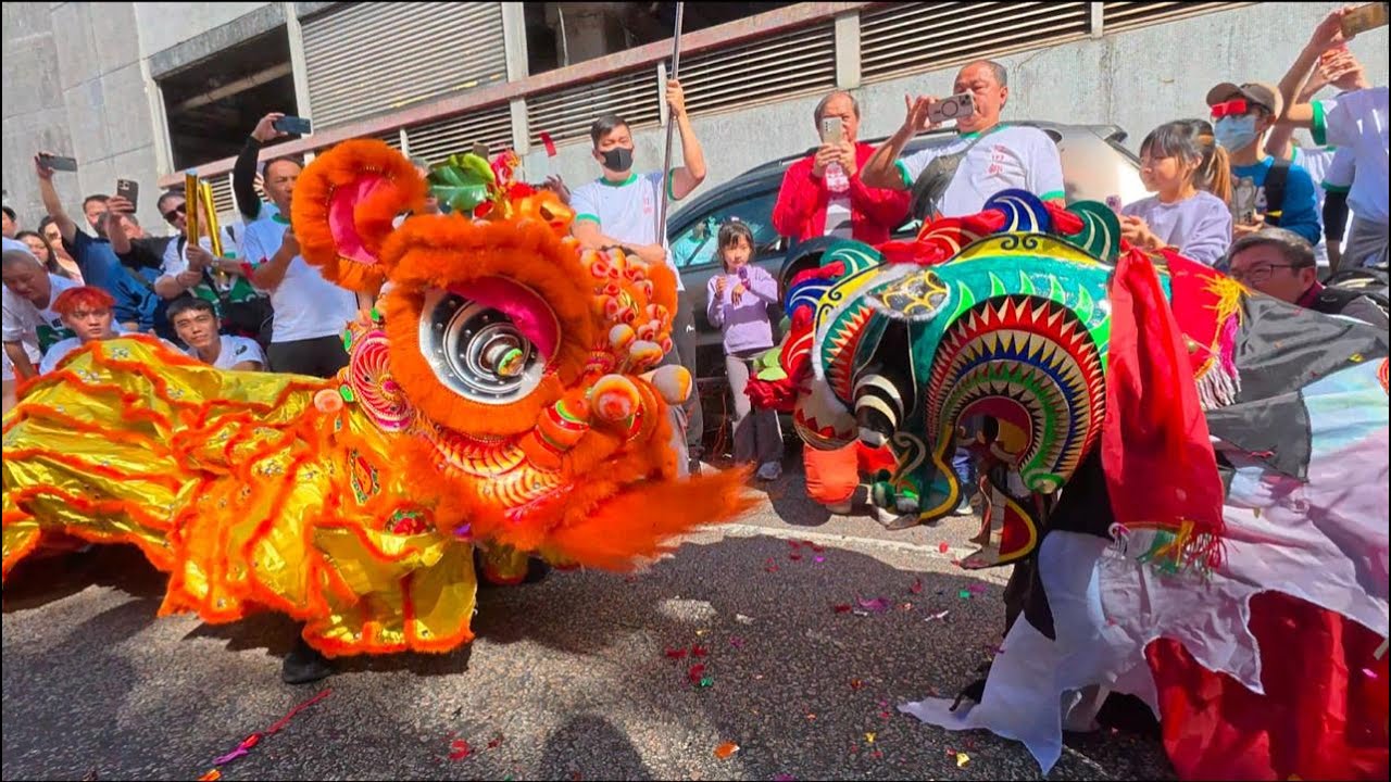 2025 沙田九約太平清醮 守望青年會麒麟 (正醮日)