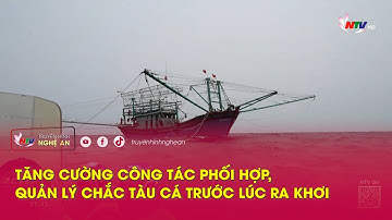 Tăng cường công tác phối hợp, quản lý chắc tàu cá trước lúc ra khơi