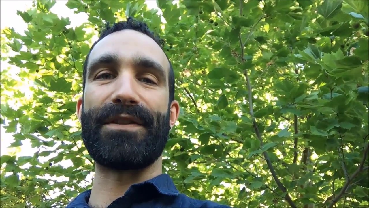 Why Use a Bearded Broker