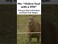 Ordering food with a VPN be like 🦫 image