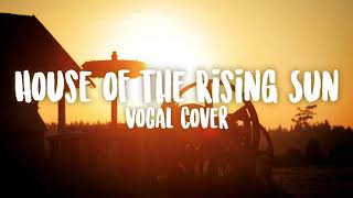 The Animals | THE HOUSE OF THE RISING SUN (Cover) by GioNightwalker