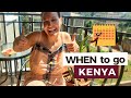 BEST time to travel to Kenya / When can I SAVE most MONEY on safari in Kenya? (Must watch this...)