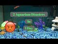 2 Aquarium Disasters In 1 Day