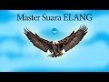 Master Suara ELANG