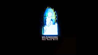 Video thumbnail of "Los Campesinos! - Tiptoe Through The True Bits"