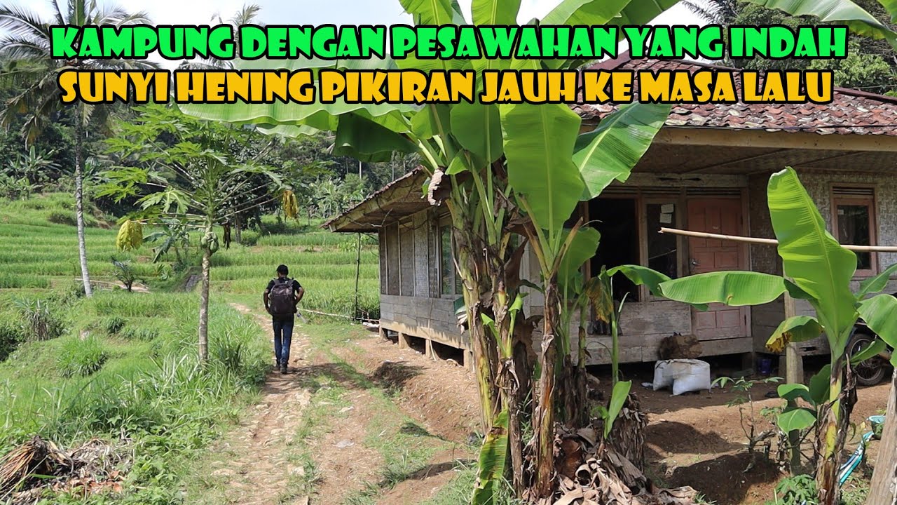 Kampung Terpencil Makin Terpuruk Dengan Akses Jalan Butut.