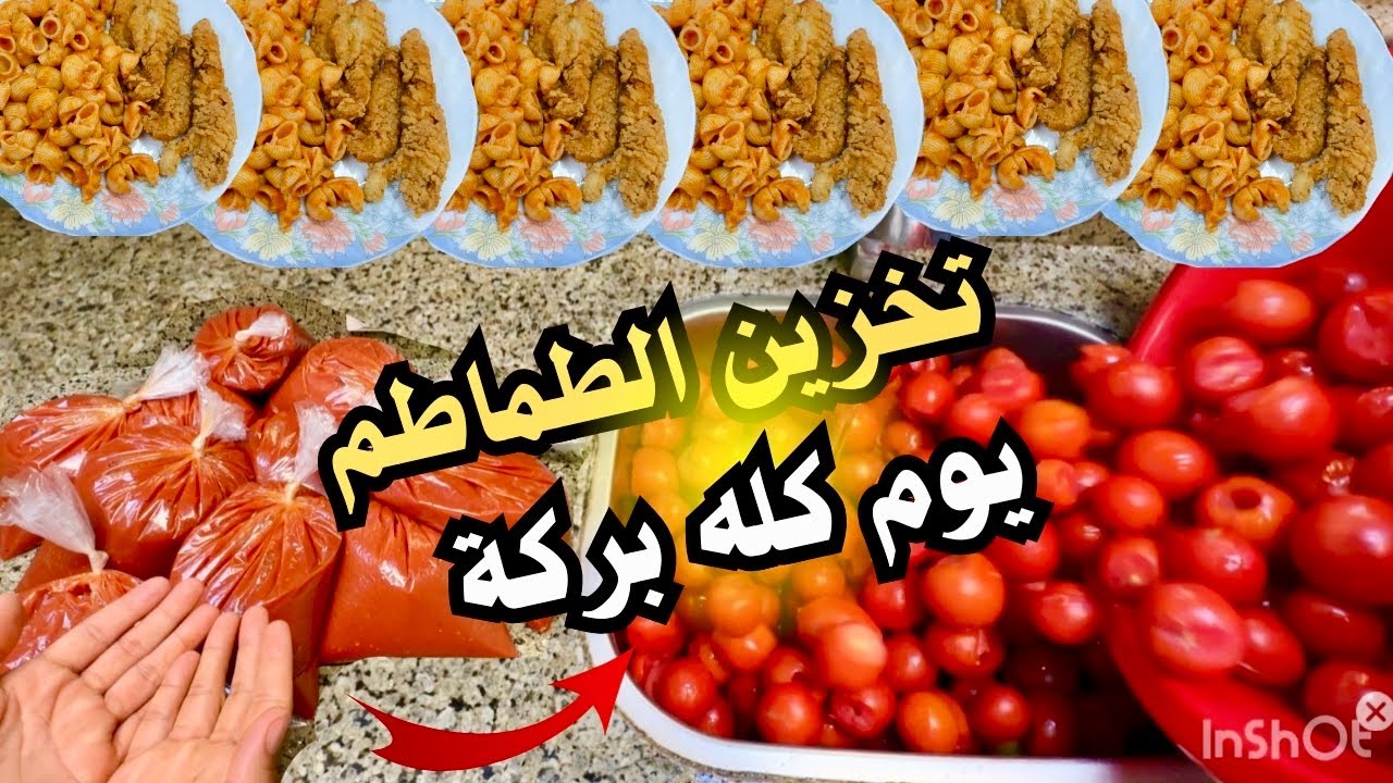 اللهم بارك لنا في بيوتنا🍅تخزين الطماطم وفطار بسيط في البيت الأخضر🛖