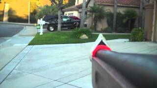 Burrito Vs. Stingray