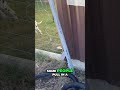 Amazing Conduit Suction: Quick Electric Line Pull! #shorts