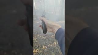 The model 1873 Colt SAA manufactured in 1883 and chambered in the one and only 45 Colt