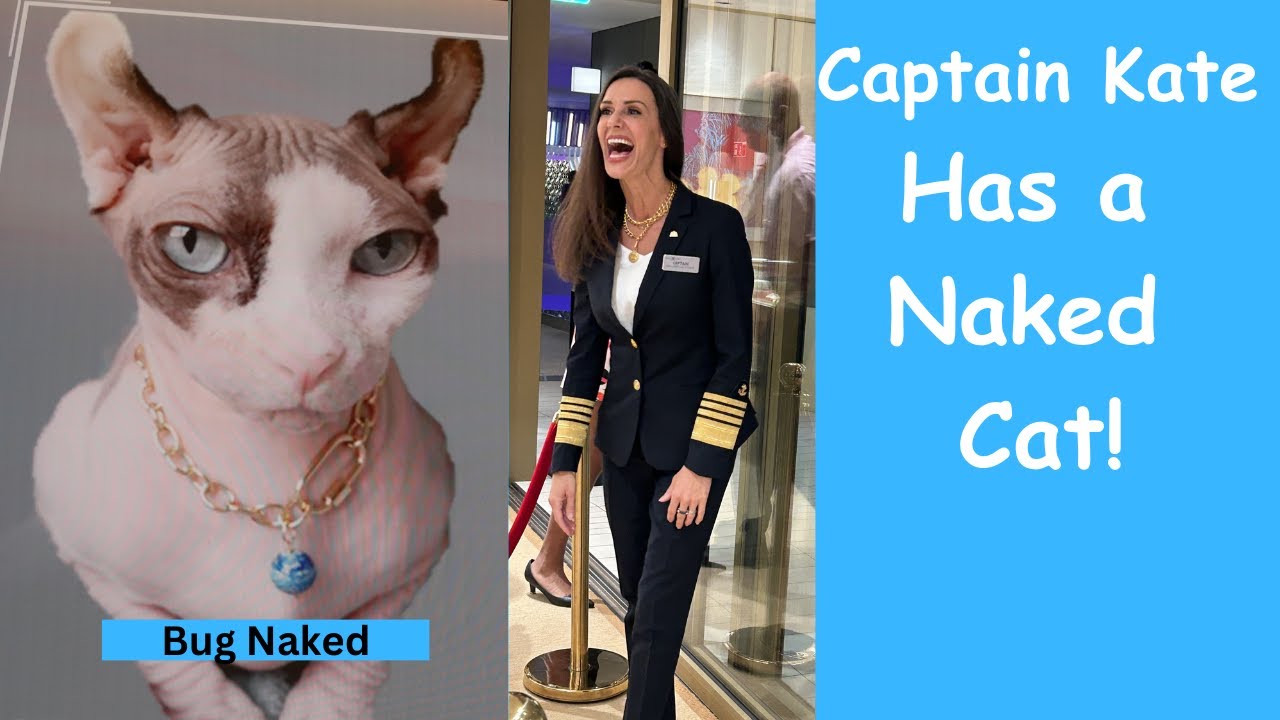 Bug Naked, a Sphynx Cat, is First Mate on Celebrity Beyond - YouTube