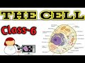 Basic Structure of Cell Part-1 Class-6 Biology Chapter-3 The Cell #icse board #science