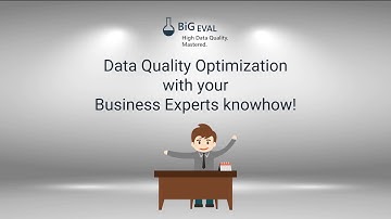 BiG EVAL Data Quality Optimization with Business Experts