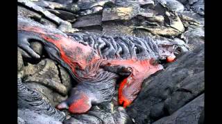Planet Earth With Dr Stephen Marshak