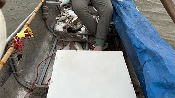 Tét thực tế kích cá thả cáp ở độ sâu cá da trơn nổi như phao | kích cá bác Hồng ở nghệ an.0985802199