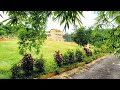 Jamaican County life nice