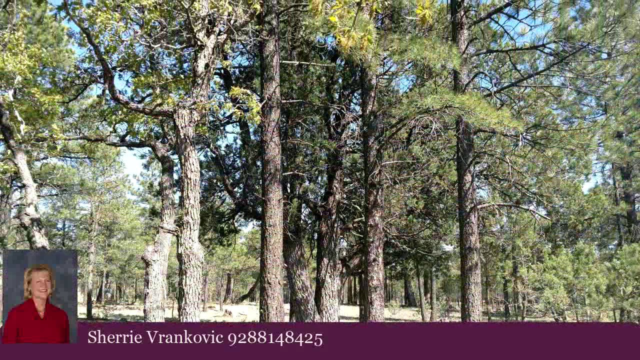 Commercial for sale - 4466 Moonlight Dr, Happy Jack, AZ 86024