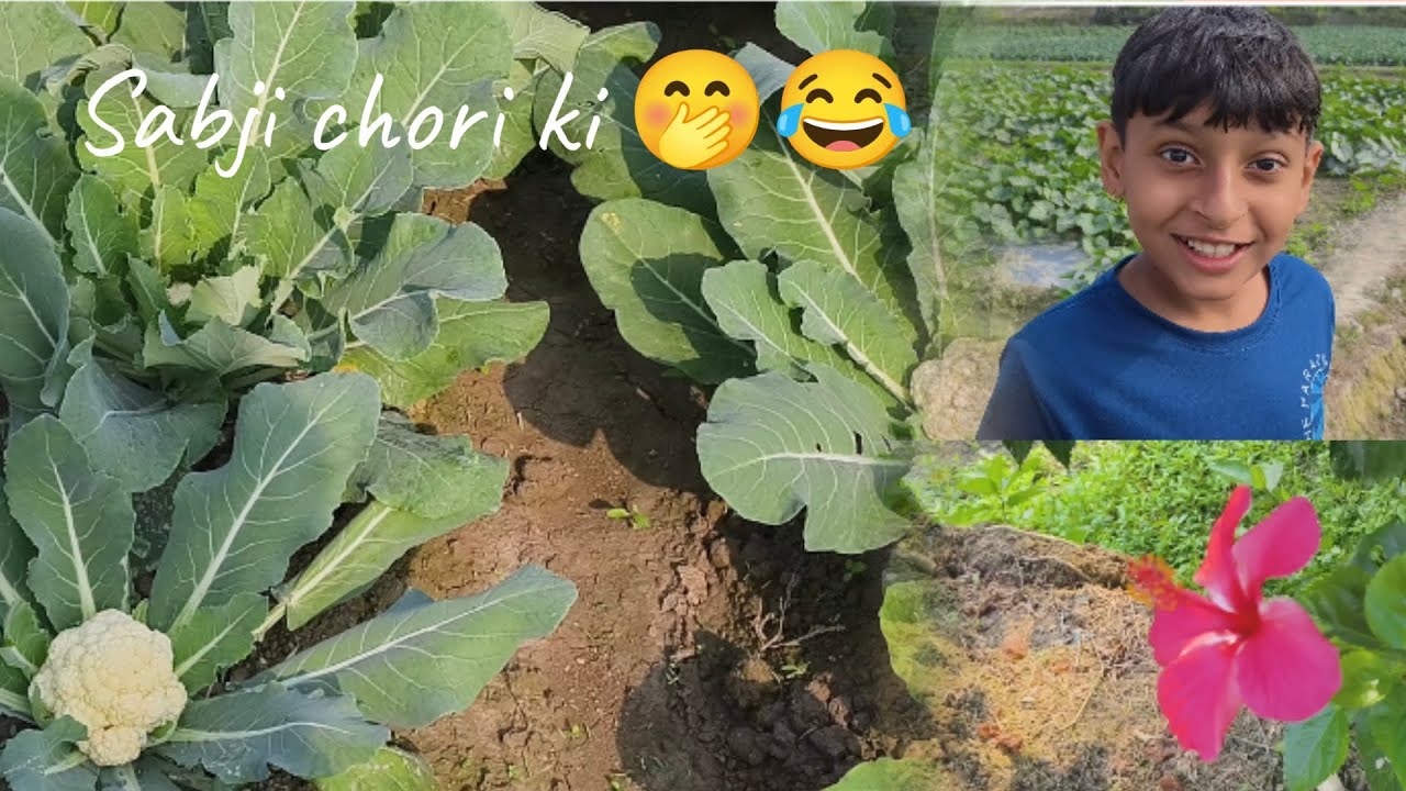 Fresh greens🥬🫛😋||Anjali Mahato|| #video#vlog