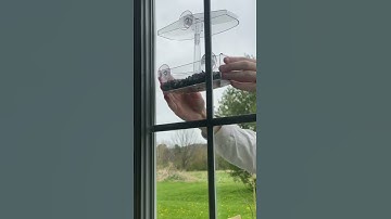 Window Bird Feeder
