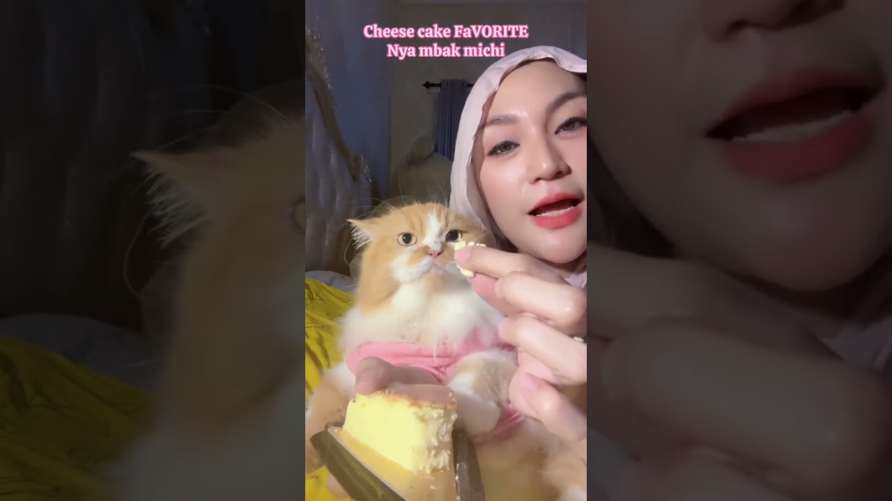 Cheese cake favorite mbak michi