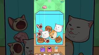 Puzzle Cats - Solve &#39;Fit the Board Type Puzzles With Cat Shaped Blocks