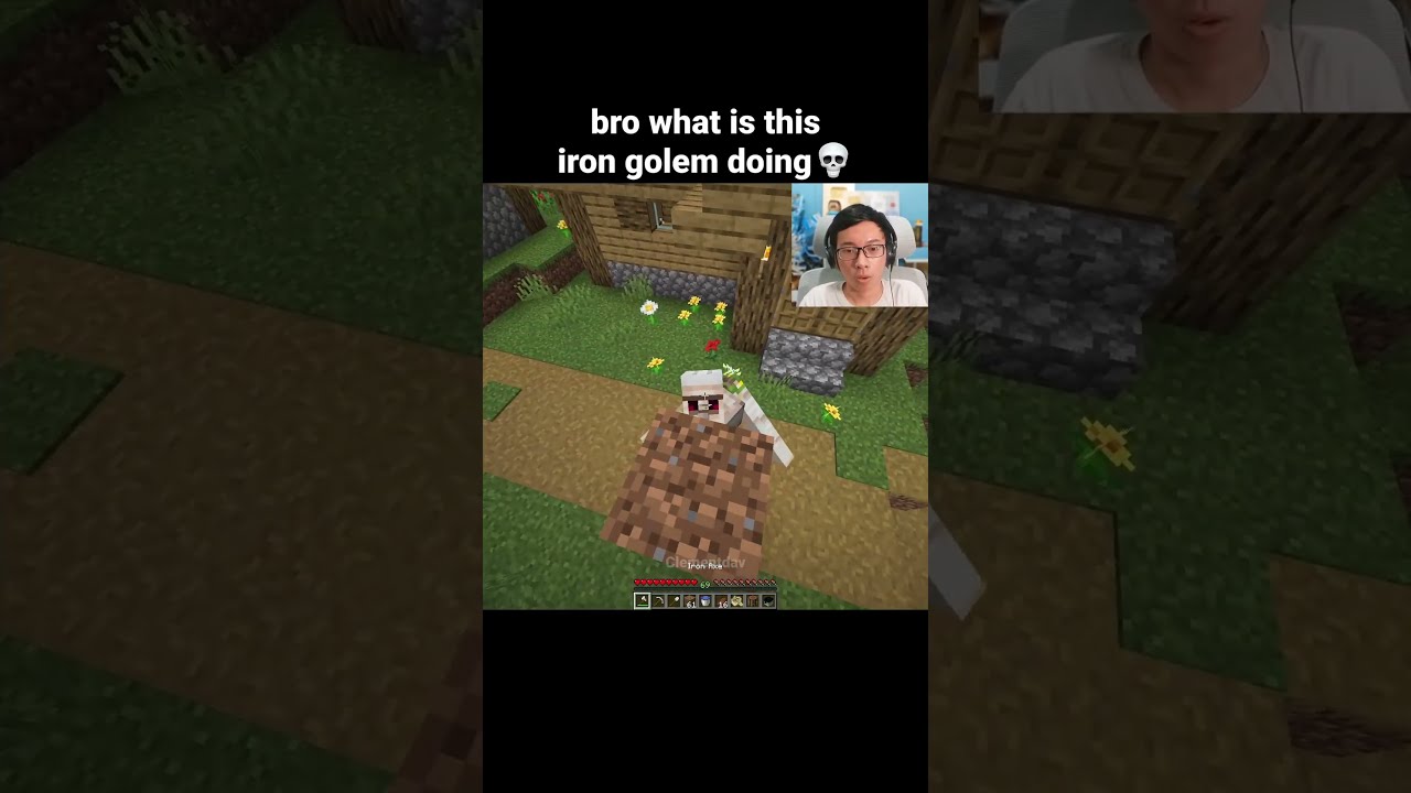 Minecraft Iron Golem Moment