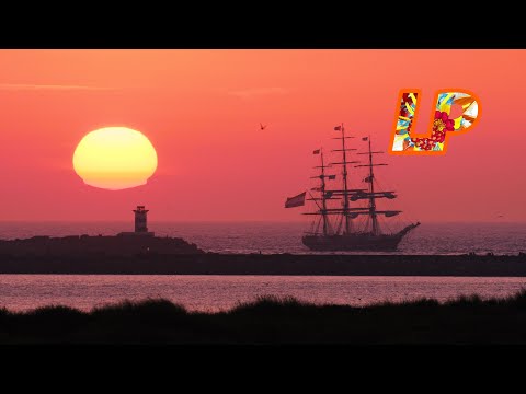 Some Ships