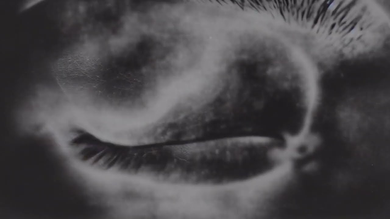 Watch Gazelle Twin - Black Dog on YouTube Watch Gazelle Twin - Black Dog on YouTube