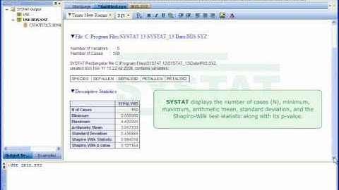 Systat Basic Statistics