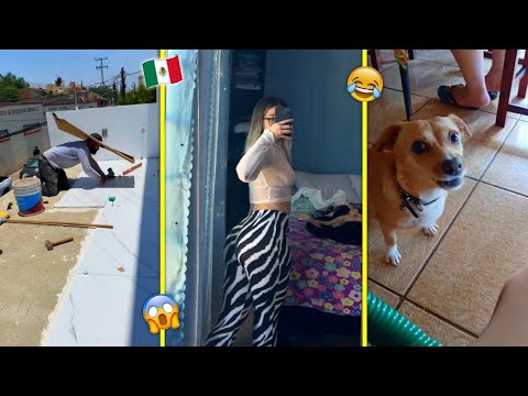 🚨HUMOR VIRAL MEXIC4NO #79🇲🇽🚨😂100% Videos De Risa | IMPOSIBLE no REIRTE 😂(recopilación) 😂🇲🇽