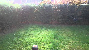 Steves 1st attempt at 3d with the blade mcpx lol.