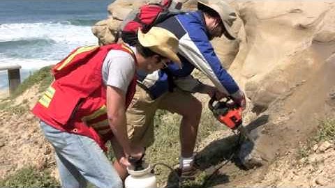 Rock and Paleomagnetism Class