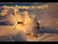 Как ехать по лесу быстро? Фрирайд на узких лыжах.