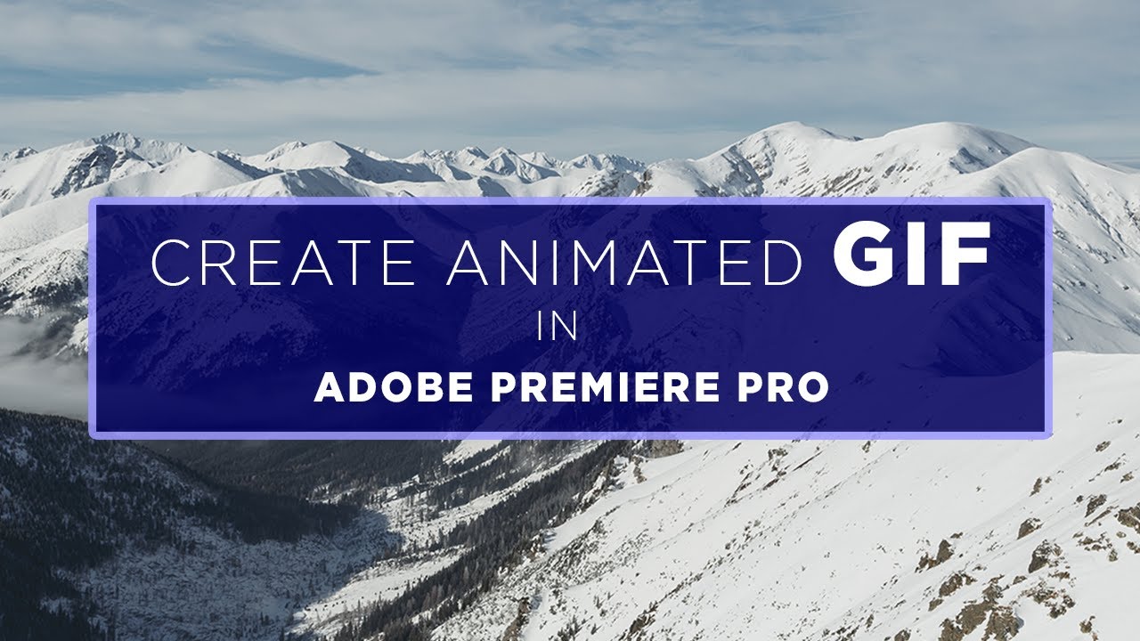 HOW TO MAKE an animated GIF in Premiere Pro and Gif Brewery - Meme Tutorial  for DEAL WITH IT 