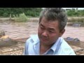 Represa transborda no Paraná e mais de 150 toneladas de peixes morrem