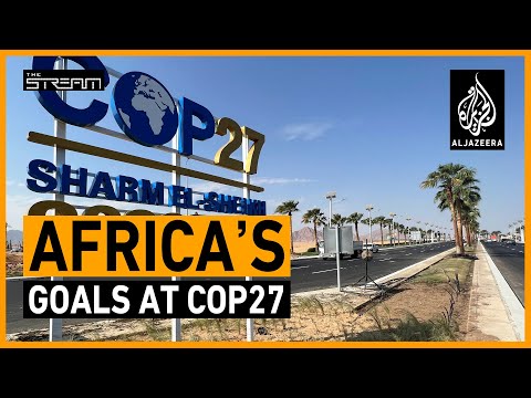 Will COP27 address Africa's climate challenges? | The Stream