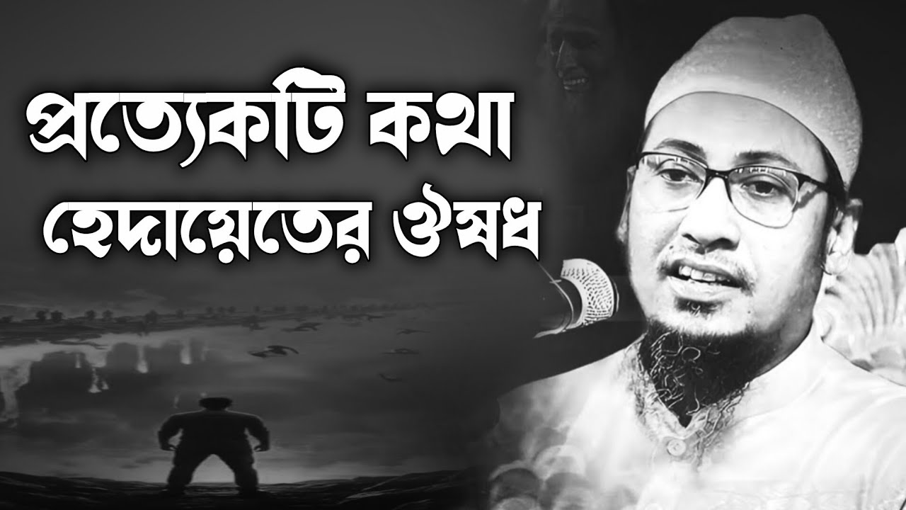 প্রত্যেকটি কথা হেদায়েতের ঔষধ। আনিসুর রহমান আশরাফী। আনিসুর রহমান আশরাফী নতুন ওয়াজ। Ashragi Waz