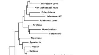 Who are Palestinians?