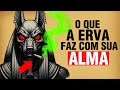 O Que A CANNABIS Faz Com Sua Alma Descubra Antes Que Seja Tarde O Que A CANNABIS Faz Com Sua Alma Descubra Antes Que Seja Tarde
