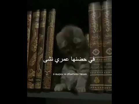 Красивый нашид - YouTube