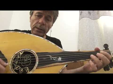 الله من قلب تزايد غليله بشير حمد شنان 