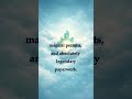 InterCity - The Diplomatic Heart of the Dragonbloods' Realms