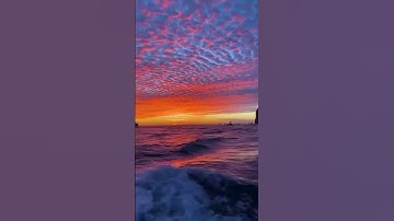 سورة الشعراء- قَالَ كَلَّا ۖ إِنَّ مَعِيَ رَبِّي سَيَهْدِينِ😌❤حمزه يوتيوب